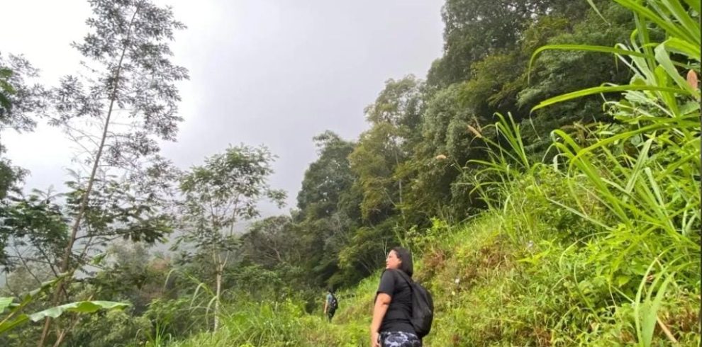 WhatsApp Image 2024-12-02 at 12.16.59